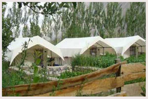 Double Humped Camp Hunder