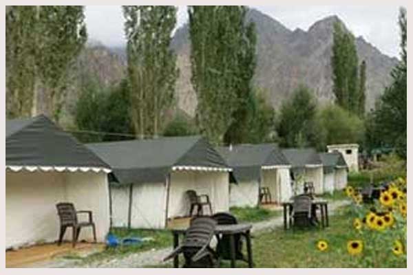 Nubra Sarai Camp