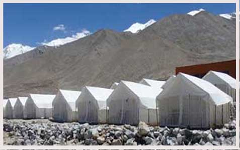 The Regal Camp, Pangong
